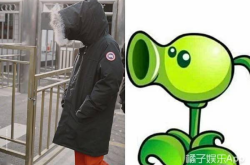 喜喜吃瓜娱乐,揭秘娱乐圈幕后故事,带你领略明星真实生活