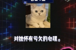 吃瓜八卦娱乐直播在线观看,吃瓜八卦,直播带你畅游娱乐世界