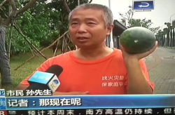 新华网吃瓜群众事件,网络舆论场上的风波与反思