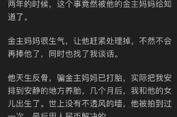 吃瓜娱乐圈知乎小说,瓜田里的明星秘闻